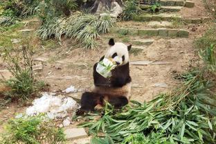 靓丽的风景！阿根廷美女球迷欢呼喜笑颜开！