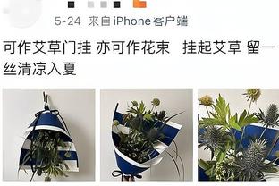 踩踏却未吃牌，凯塞多遭球迷痛批：卑鄙！他应该被终身禁赛